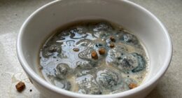 wet food spoilage timeline