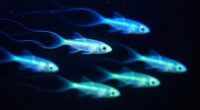 bioluminescence in deep fish