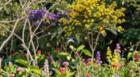 birds pollinators thrive