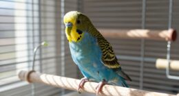 birds thrive on consistency