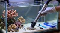 consistent aquarium maintenance routine