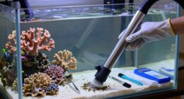 consistent aquarium maintenance routine