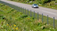 fencing prevents animal crossings
