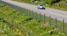 fencing prevents animal crossings