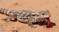 lizard s blood defense mechanism