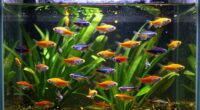 overcrowded aquarium signs