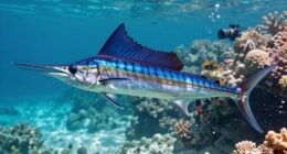 sailfish s impressive swimming speed