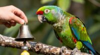selective sound imitation in parrots