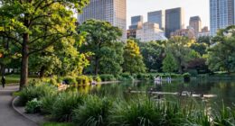 transforming city parks into habitats