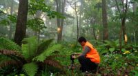 wildlife change monitoring through citizen science