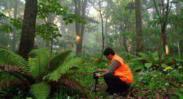 wildlife change monitoring through citizen science