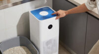 10 Best Air Purifier for Litter Box Odor in 2026