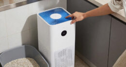 10 Best Air Purifier for Litter Box Odor in 2026