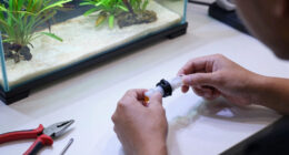 10 Best Best FX6 Alternative Aquarium Filter in 2026