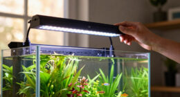 10 Best Best Planted Tank LED Light 48 Inch in 2026