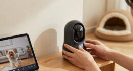 10 Best Pan-Tilt Pet Monitoring Camera in 2026