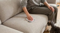 10 Best Stain-Resistant Sectional Sofas for Pet Owners in 2026