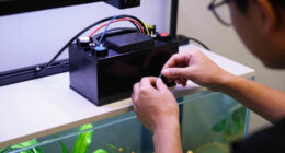 10 Best UPS Battery Backup for Aquarium Filters in 2026