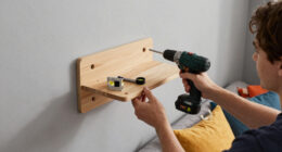 11 Best Wall-Mounted Cat Shelves Set in 2026