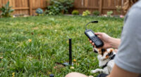 11 Best Wireless Dog Fence System in 2026