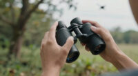 12 Best Binoculars for Bird Watching 10x42 in 2026