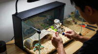 12 Best Front-Opening Reptile Terrarium 120 Gallon in 2026
