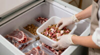 12 Best Garage Freezer for Raw Pet Food in 2026