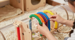 12 Best Rabbit Tunnel And Play System In 2026