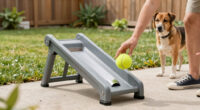 13 Best Automatic Ball Launcher for Dogs in 2026