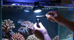 13 Best LED Reef Light for Coral Growth in 2026
