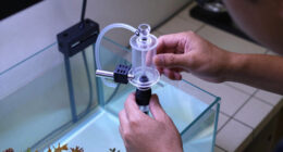 14 Best Automatic Top-Off System For Reef Tank In 2026