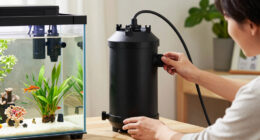 14 Best Canister Filter For Large Aquarium In 2026