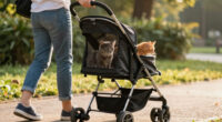15 Best Cat Stroller for Two Cats in 2026