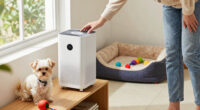 15 Best Small Pet Air Purifier for Odor in 2026
