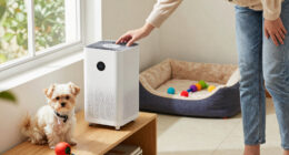 15 Best Small Pet Air Purifier for Odor in 2026