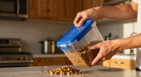 7 Best Best Airtight Pet Food Storage Container in 2026