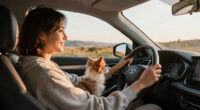7 Best Dash Cam For Road Trips With Pets In 2026