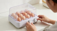 7 Best Egg Incubator With Humidity Control in 2026
