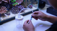 8 Best Protein Skimmer for Reef Tanks in 2026
