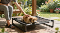 9 Best Cooling Elevated Dog Bed in 2026