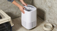 9 Best Dehumidifier for Pet Basements in 2026