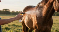 9 Best Equine Fly Spray Automatic Misters in 2026