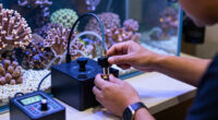 9 Best Reef Dosing Pump System in 2026 — Perfect for Every Aquarium Enthusiast