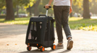 9 Best Rolling Cat Carrier With Wheels in 2026