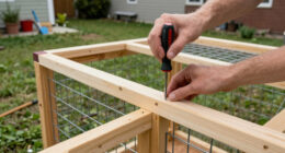 9 Best Walk-In Chicken Coop for Backyard in 2026