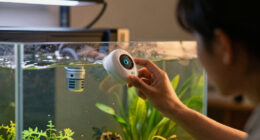 9 Best Water Leak Detector For Aquariums In 2026