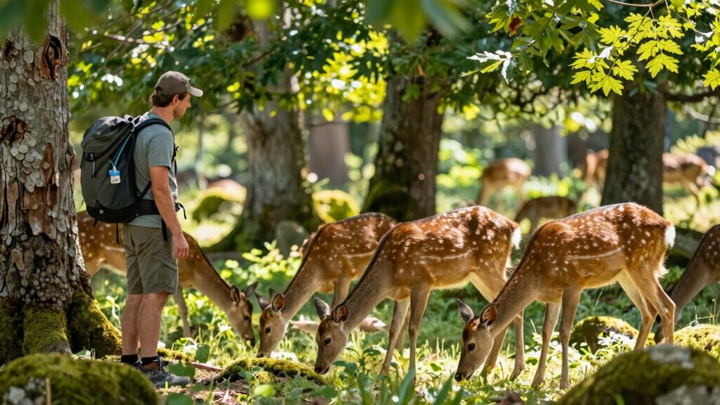 responsible wildlife conservation practices