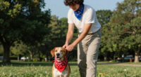 13 Best Patriotic Dog Bandanas for Fourth Of July Style in 2026