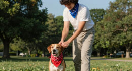 13 Best Patriotic Dog Bandanas for Fourth Of July Style in 2026