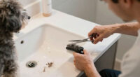 9 Best Dog Grooming Tools for Dads in 2026